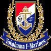 橫濱水手队徽
