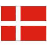 丹麥队徽