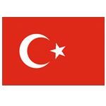 土耳其队徽