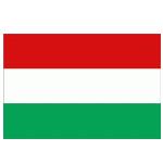 匈牙利队徽